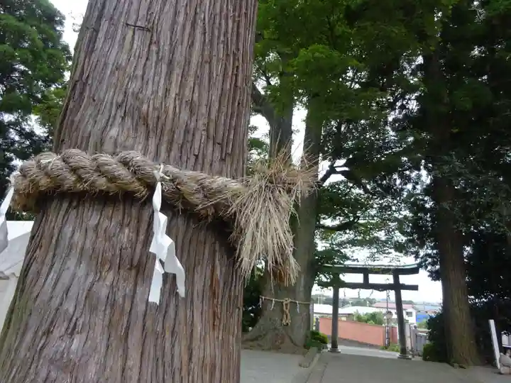 比々多神社の自然