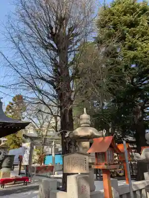 草加神社(埼玉県)