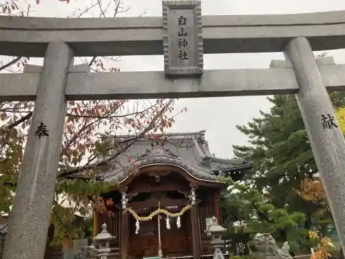 白山神社の鳥居