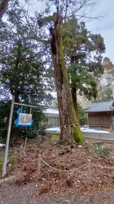 青海神社(福井県)