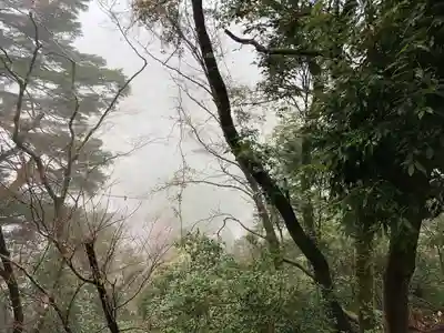 室生寺奥の院(奈良県)