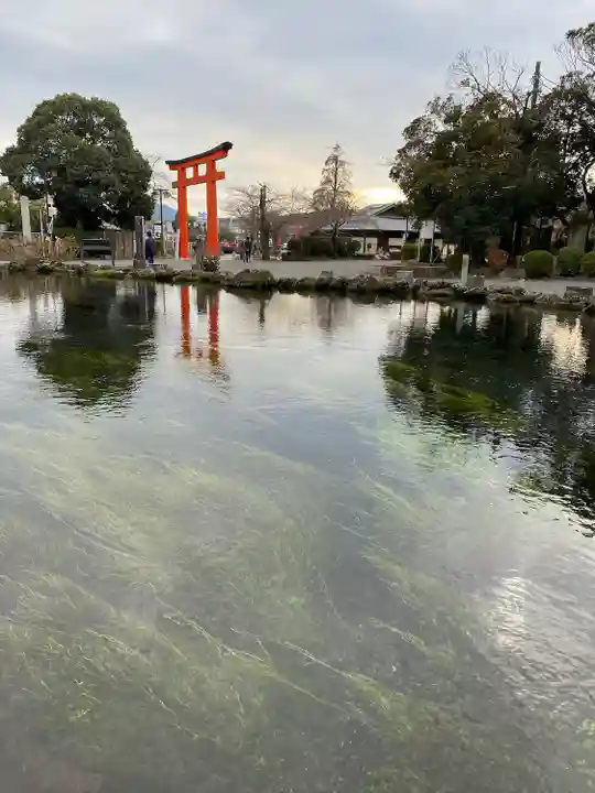 富士山本宮浅間大社(静岡県)