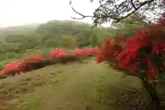 深山巴の宿の自然