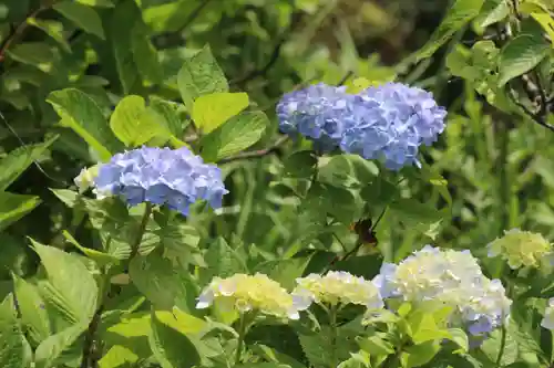 国宝 大法寺の自然