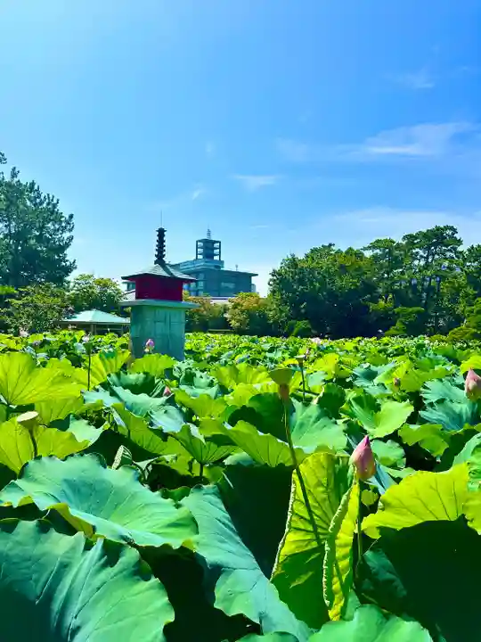 白山神社(新潟県)