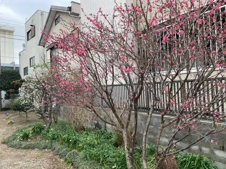 谷津観音堂の{uncategorized: "未分類", other: "その他", undefined: "問題あり", building: "その他建物", grave: "お墓", sacred_gate: "鳥居", guardian: "狛犬", statue: "像", buddha: "仏像", history: "歴史", nature: "自然", garden: "庭園", animal: "動物", pagoda: "塔", temizu: "手水舎", mountain_gate: "山門・神門", sanctuary: "本殿・本堂", subordinate: "末社・摂社", art: "芸術", scenery: "景色", jizo: "地蔵", ema: "絵馬", goshuin: "御朱印", omikuji: "おみくじ", items: "授与品その他", amulet: "お守り", goshuincho: "御朱印帳", eats: "食事", festival: "お祭り", votive_dance: "神楽", shichigosan: "七五三参", wedding: "結婚式", experience: "体験その他", initially: "初詣", around: "周辺", anti_infection: "感染症対策"}