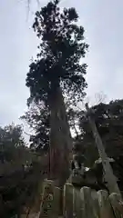 祝田神社(兵庫県)