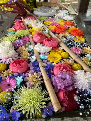 札幌護國神社の手水舎