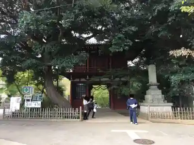 本土寺の山門・神門
