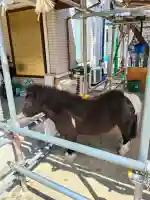 天神社(大阪府)