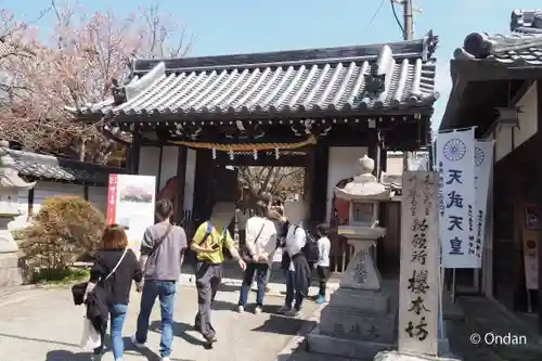 櫻本坊の山門・神門