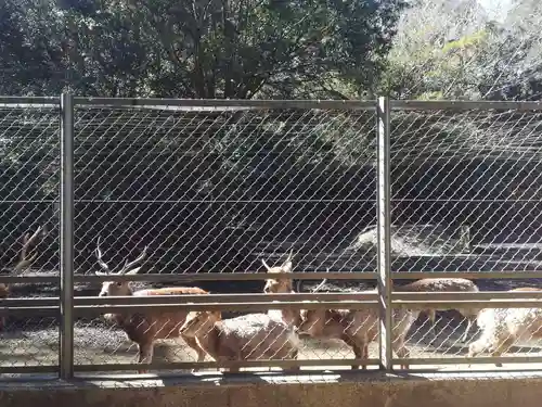 鹿島神宮(茨城県)