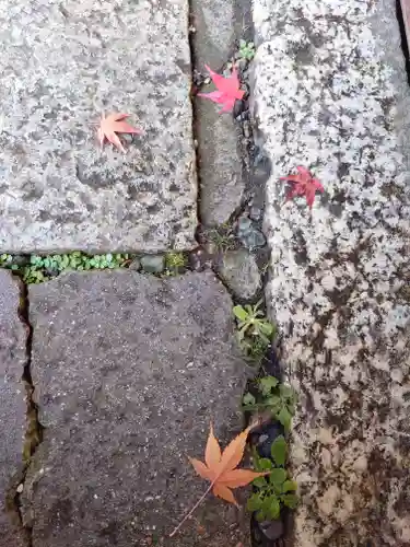宝厳寺(滋賀県)