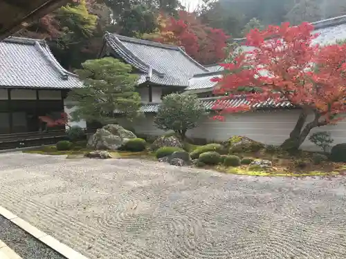 南禅寺の庭園