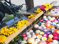 今市報徳二宮神社の手水