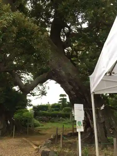 九重神社の自然