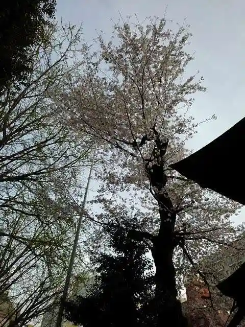 天祖神社の自然