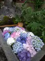 本郷氷川神社(東京都)