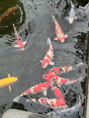 愛宕神社(東京都)
