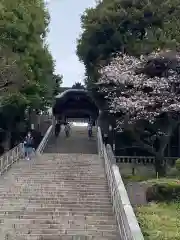 宇都宮二荒山神社(栃木県)