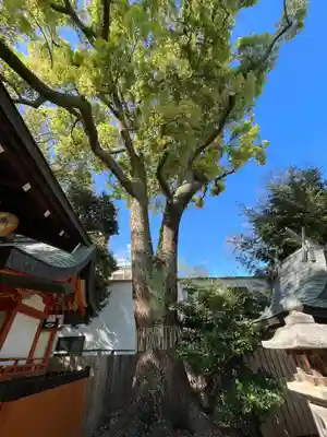 平野神社(京都府)