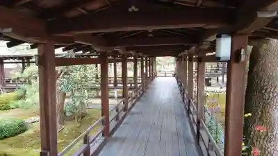 大覚寺(京都府)