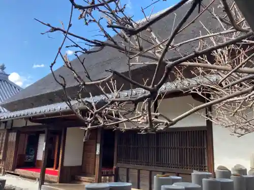 金剛寺の本殿・本堂