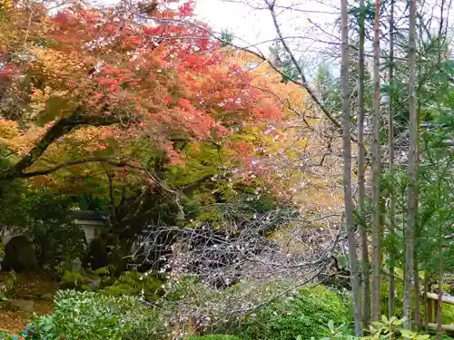 実光院(京都府)