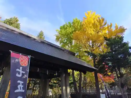 上川神社の七五三参