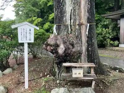 中禅寺(栃木県)