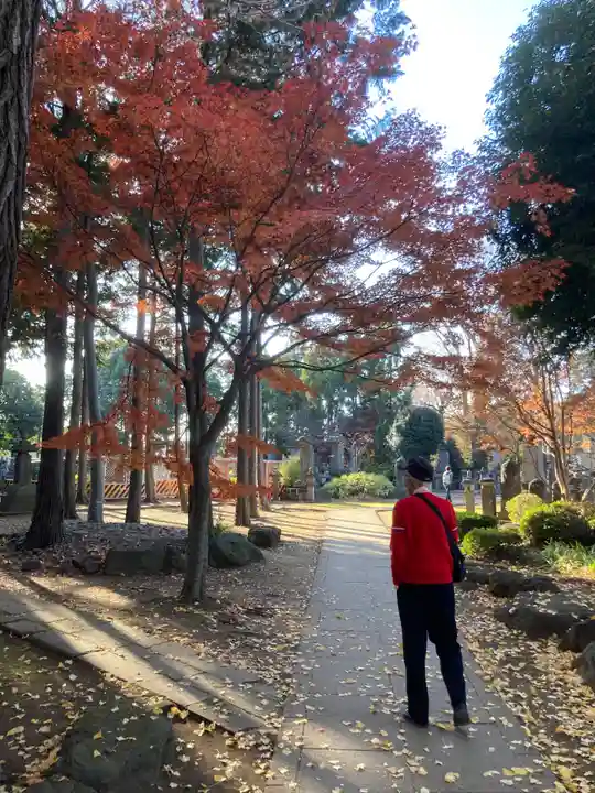 豪徳寺(東京都)