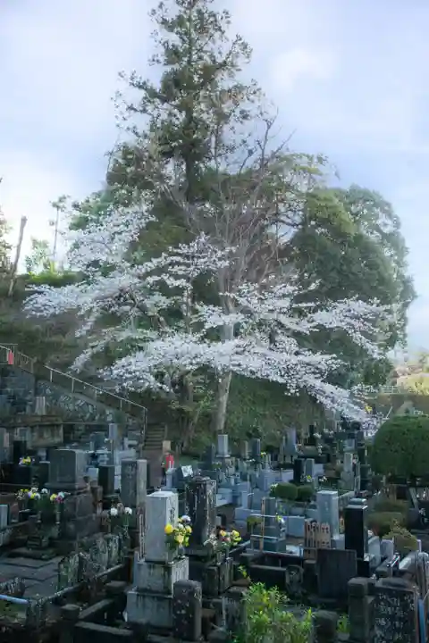 正安寺(神奈川県)