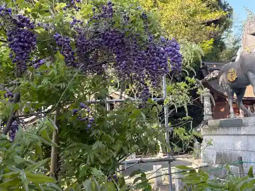 志那神社の{uncategorized: "未分類", other: "その他", undefined: "問題あり", building: "その他建物", grave: "お墓", sacred_gate: "鳥居", guardian: "狛犬", statue: "像", buddha: "仏像", history: "歴史", nature: "自然", garden: "庭園", animal: "動物", pagoda: "塔", temizu: "手水舎", mountain_gate: "山門・神門", sanctuary: "本殿・本堂", subordinate: "末社・摂社", art: "芸術", scenery: "景色", jizo: "地蔵", ema: "絵馬", goshuin: "御朱印", omikuji: "おみくじ", items: "授与品その他", amulet: "お守り", goshuincho: "御朱印帳", eats: "食事", festival: "お祭り", votive_dance: "神楽", shichigosan: "七五三参", wedding: "結婚式", experience: "体験その他", initially: "初詣", around: "周辺", anti_infection: "感染症対策"}