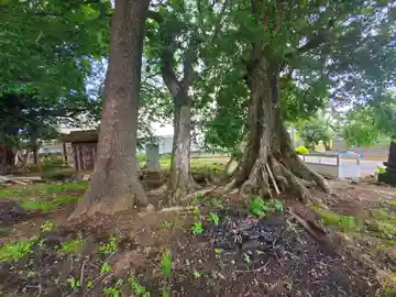 大麻神社(栃木県)