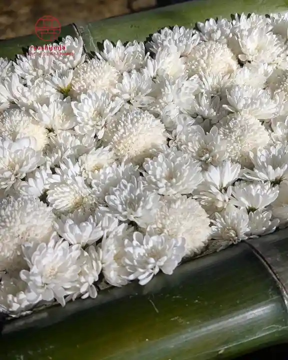 立志神社(滋賀県)
