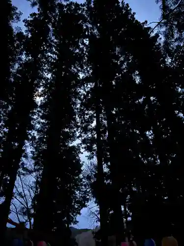 大宮温泉神社(栃木県)