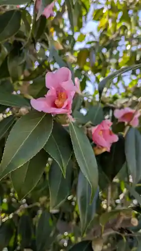 大松禅寺(京都府)