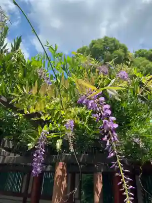 日枝神社(東京都)
