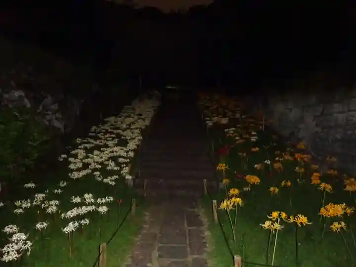 横浜 西方寺の自然