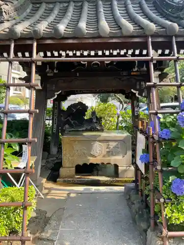 白山神社の手水舎