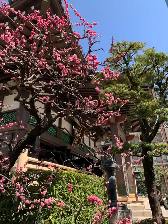 太融寺(大阪府)