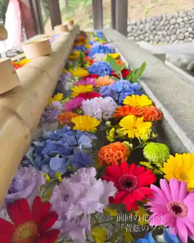群馬県護国神社(群馬県)