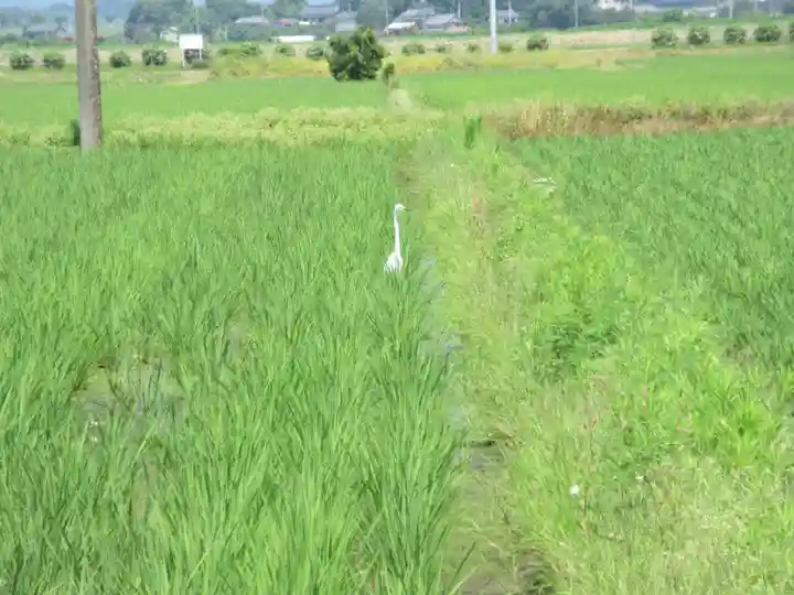 長慶寺(栃木県)
