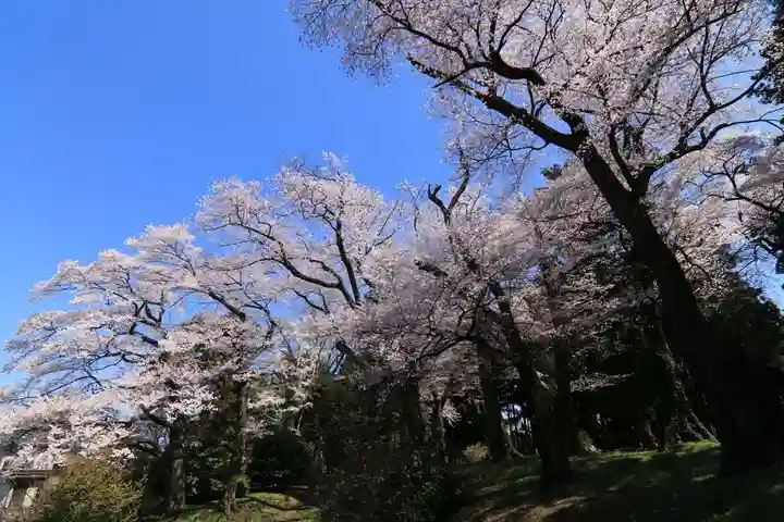 神炊館神社 ⁂奥州須賀川総鎮守⁂の庭園