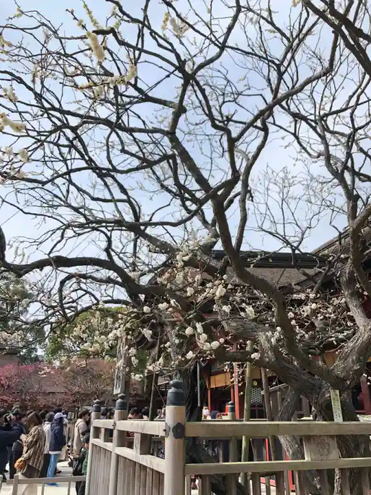 太宰府天満宮の自然