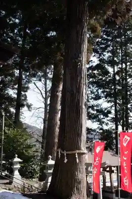 高司神社〜むすびの神の鎮まる社〜(福島県)