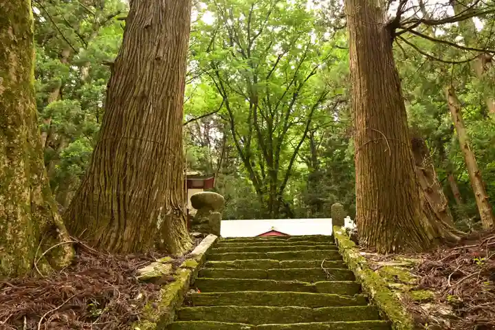 栗枝渡神社(徳島県)
