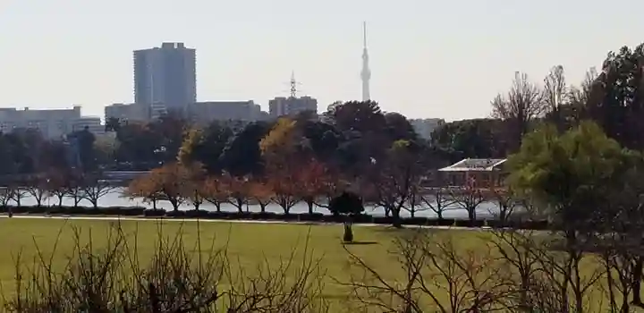徳島稲荷神社の周辺