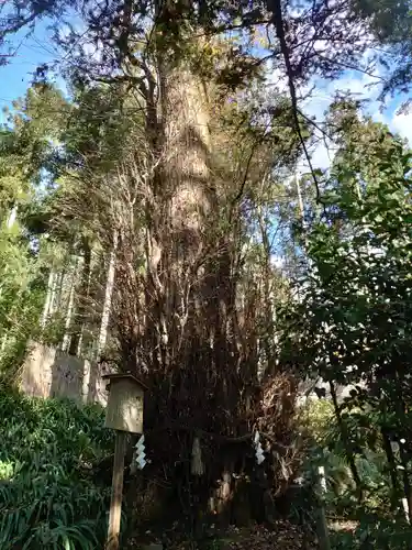 貴船神社の自然