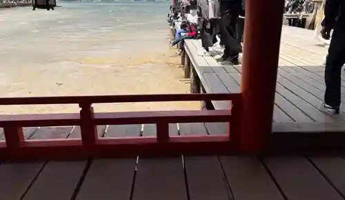 厳島神社(広島県)